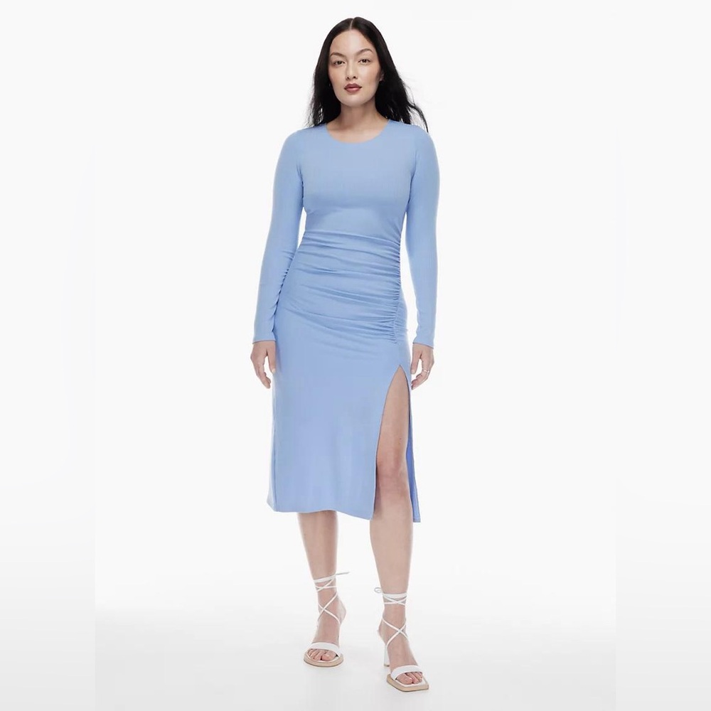 Aritzia dress